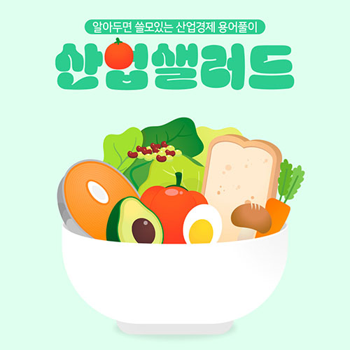 카드뉴스_알아두면 쓸모있는 산업경제 용어풀이 산업샐러드 Chapter 1 - 캐즘