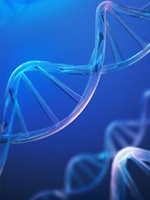 발간물_미(美) 생물보안법 발효가 한국 제약바이오산업에 미치는 영향과 시사점